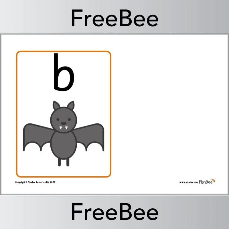 Phonics Flashcards