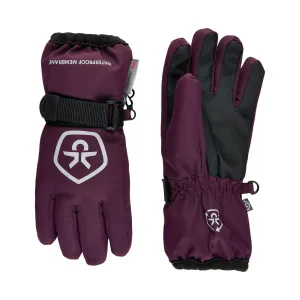 Waterproof Ski Gloves: Potent Purple